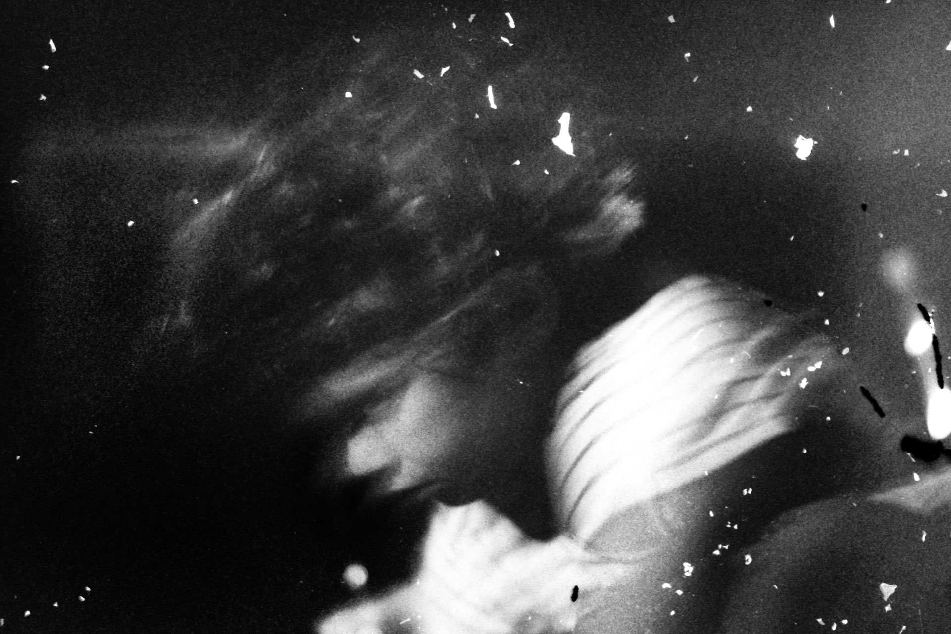 photo,child,enfant,photography,portrait,argentique,elisa,migda