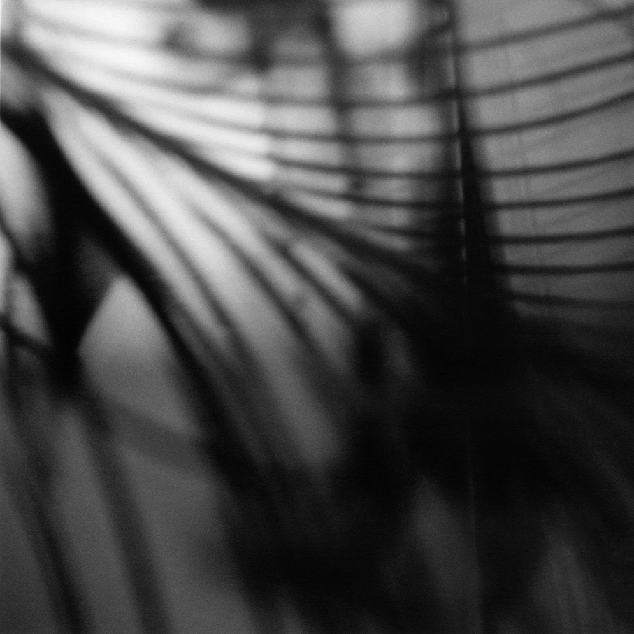 corps, elisa migda, body, paon, plume, noir et blanc, art, photo, photography, 6x6, moyen format, Holga, nu, nude, sexy, love, mystic, analog, silver gelatin print